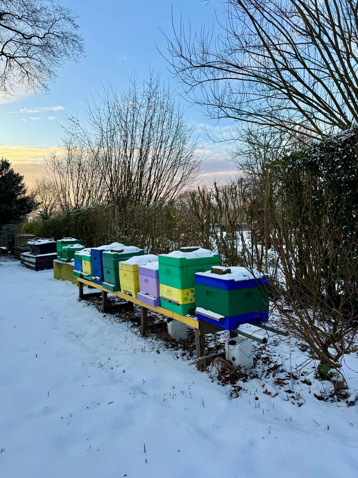 Nieuwjaarsreceptie 4