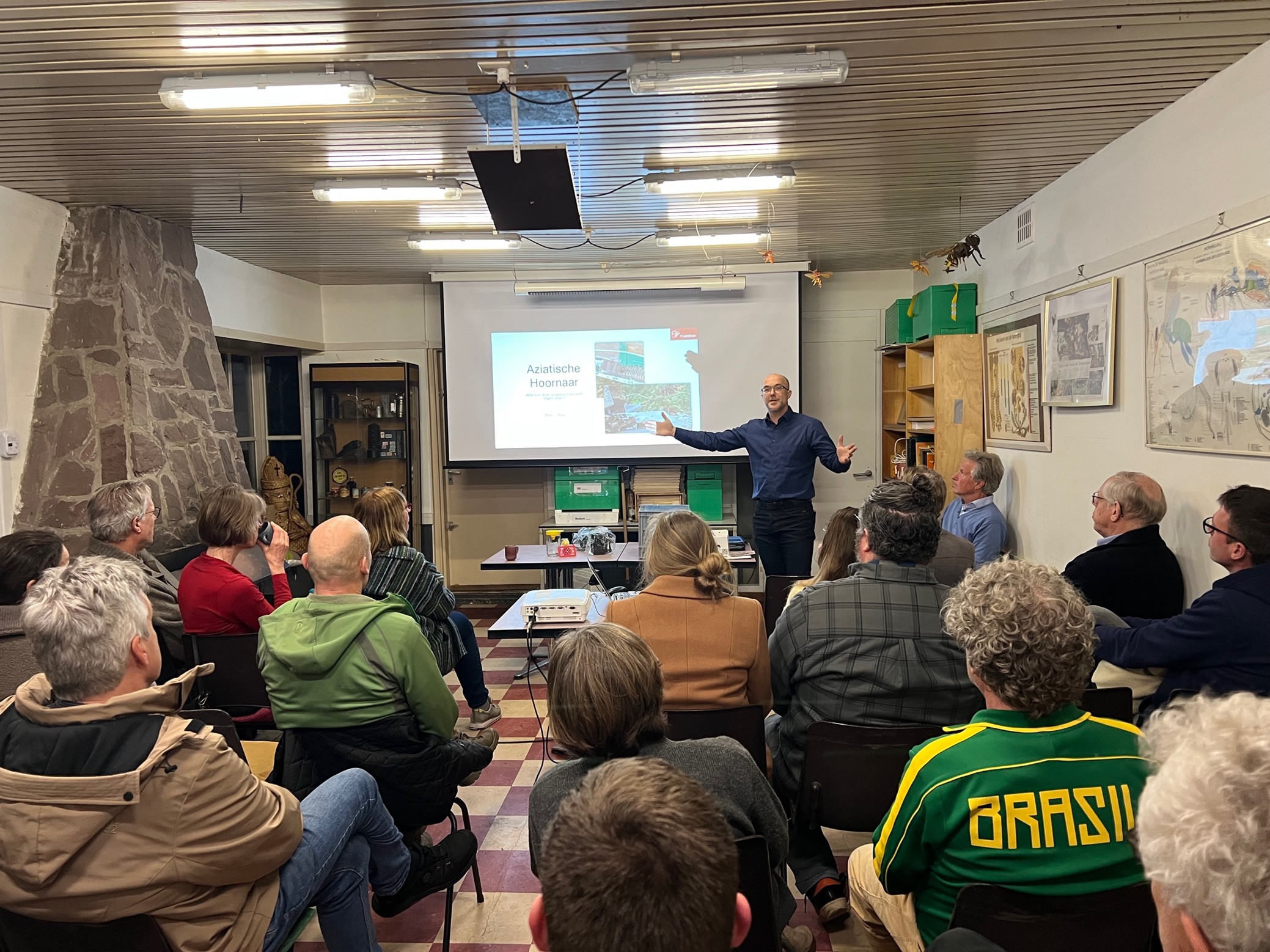 Aziatische Hoornaar 1