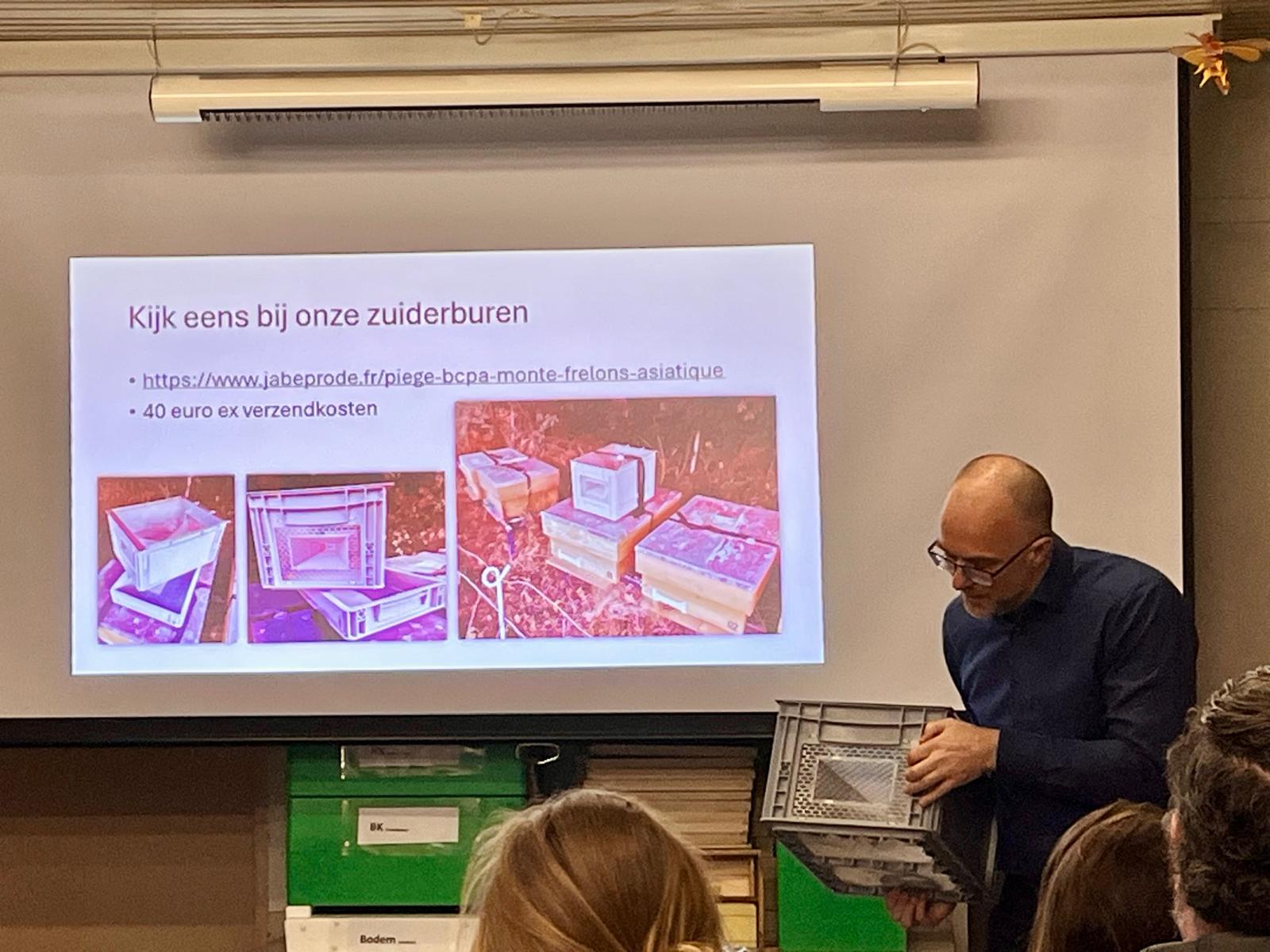 Aziatische Hoornaar 2