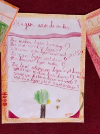 Afbeelding2